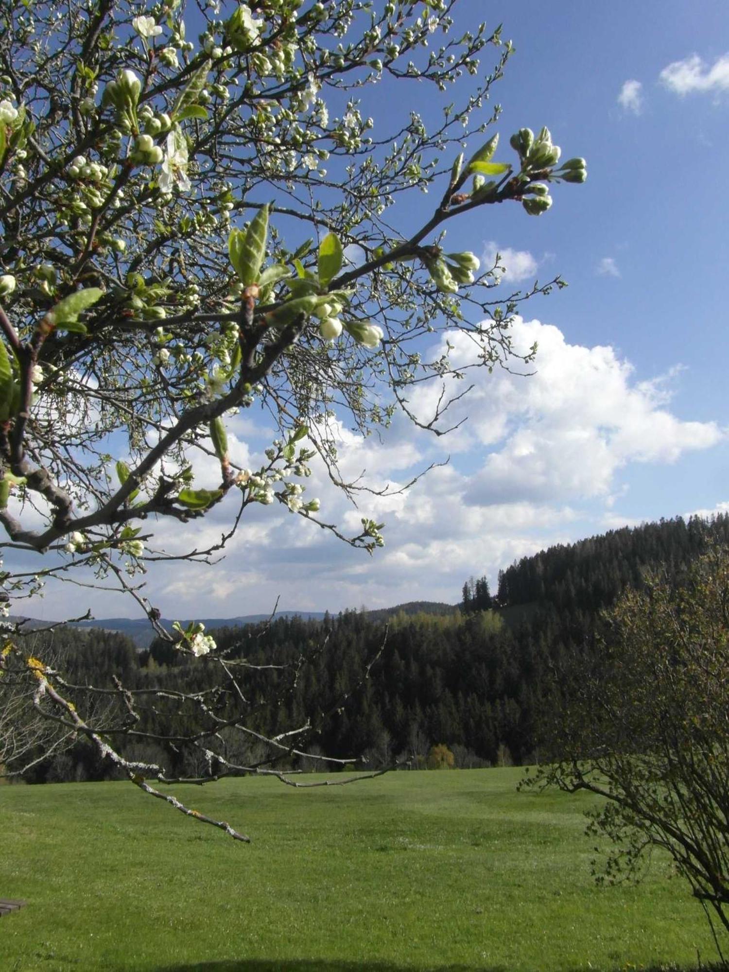 Farm stay Pircherhof - Urlaub Und Erholung Im Troadkost'n