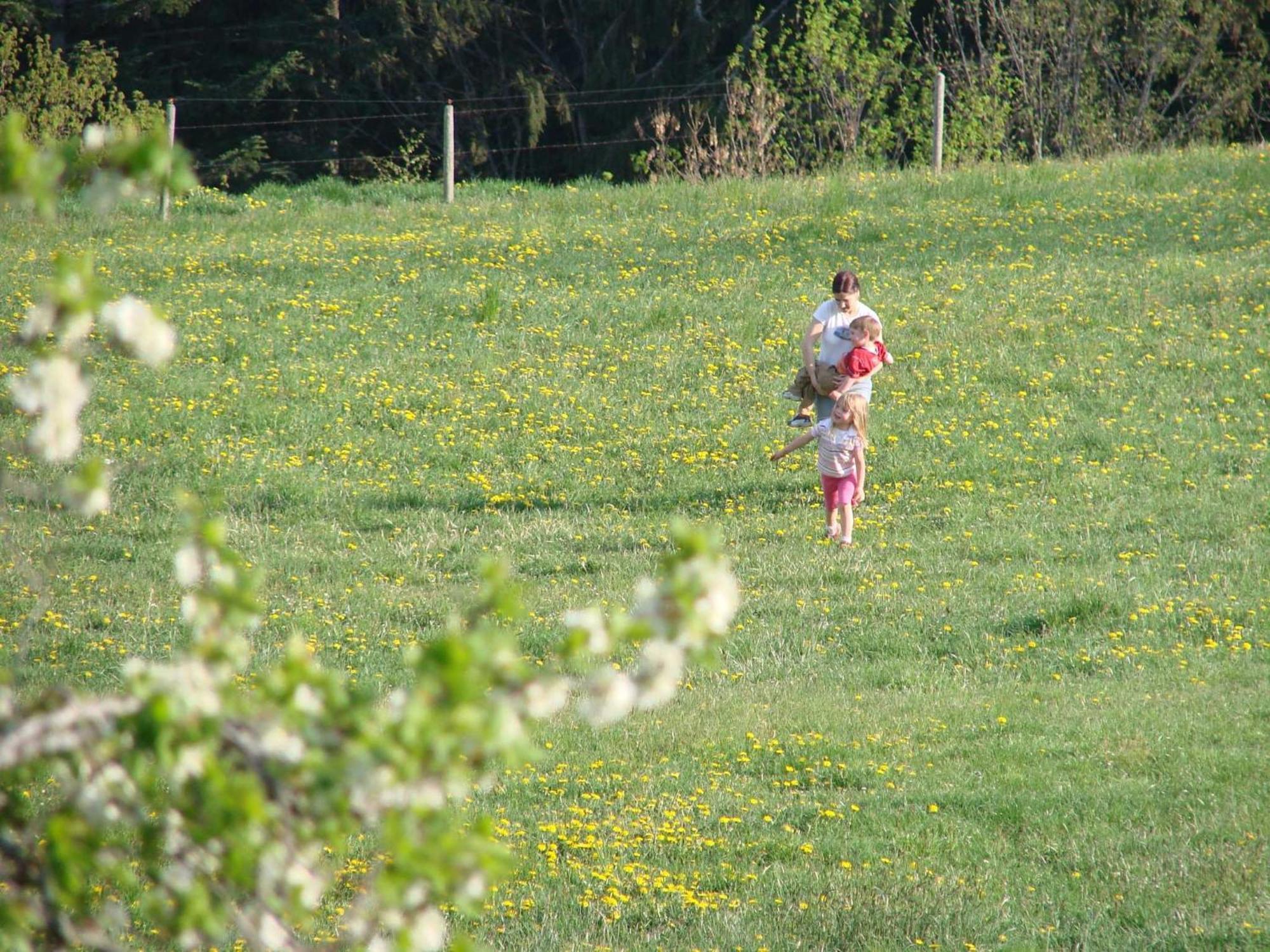 Pircherhof - Urlaub Und Erholung Im Troadkost'n Farm stay