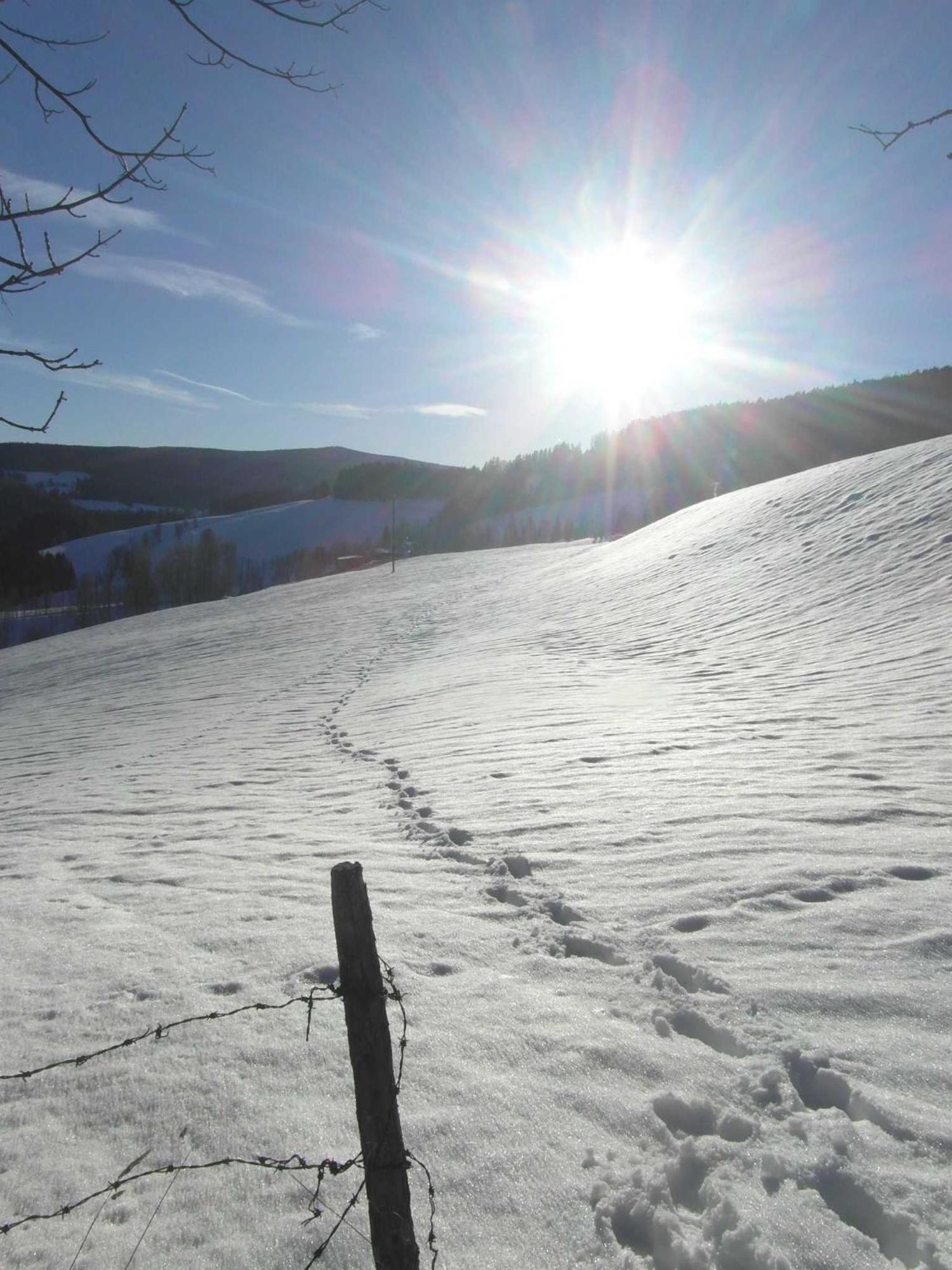 Pircherhof - Urlaub Und Erholung Im Troadkost'n *